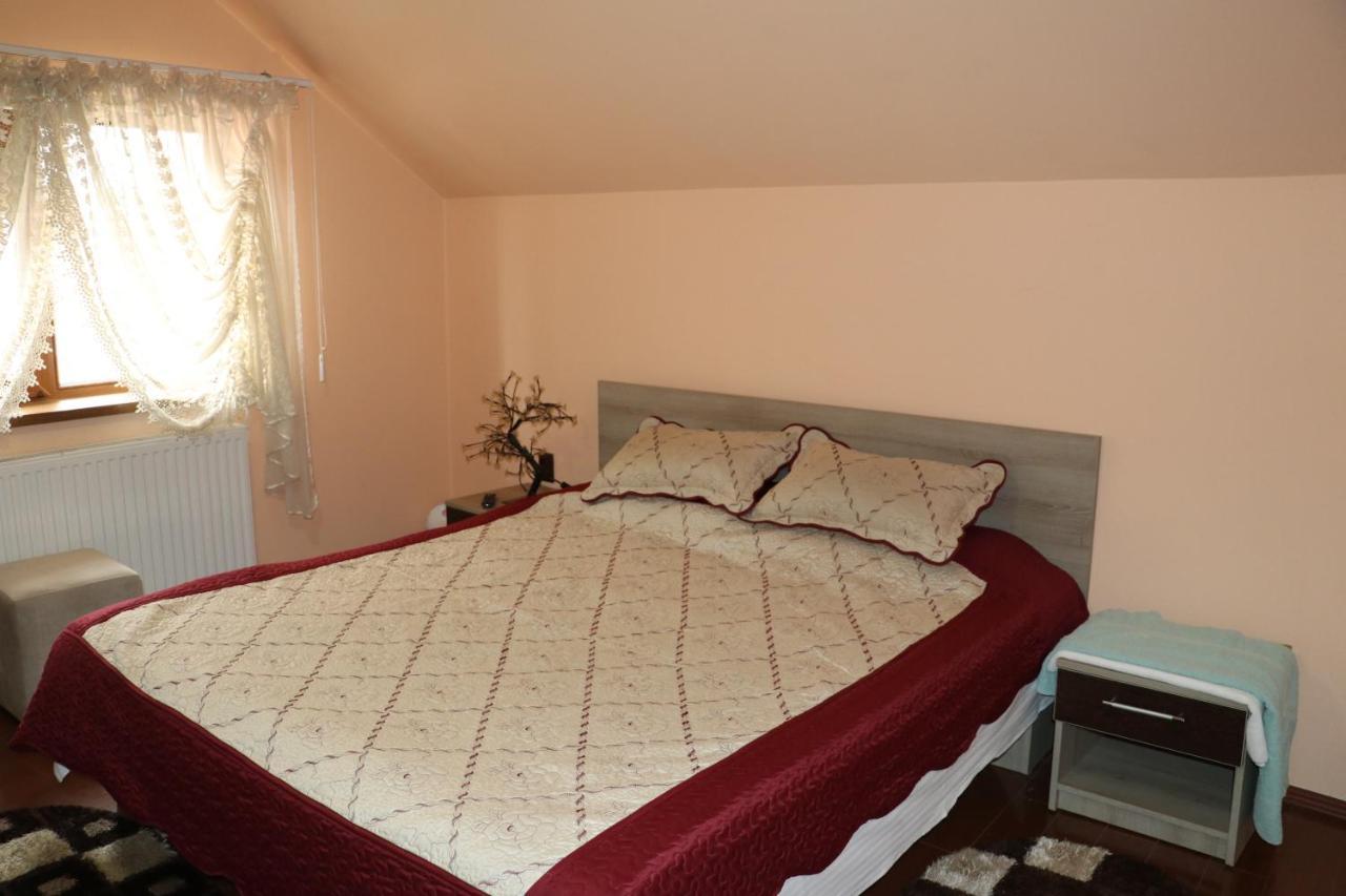 Hotel Amelia House Făgăraş Esterno foto